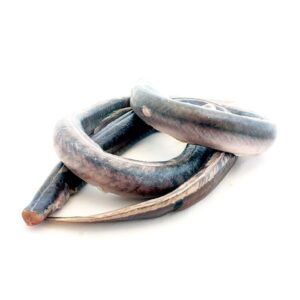 Gevilde rivierpaling