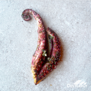 Inktvispoten gegrild