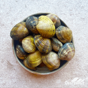 Tapijtschelpen / Palourdes