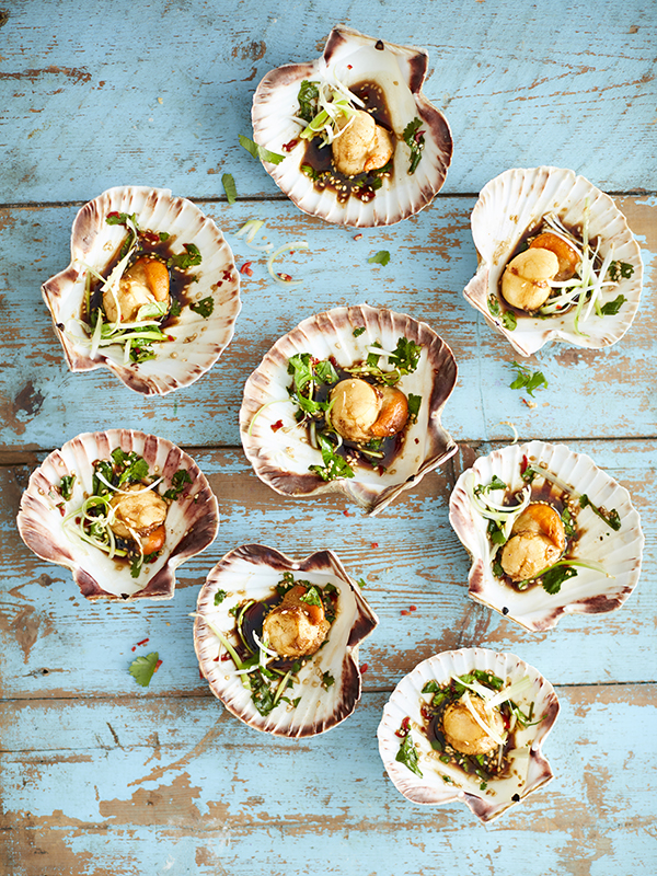 Scallops with shells starter